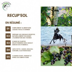 Recup'eol + E Favorise la récupération à l'effort 500ml - Essence of Life CHEV-1270 Essence Of Life 42,90 € Ornibird