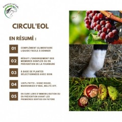 Circul'eol Soutient la circulation 500ml - Essence of Life CHEV-1282 Essence Of Life 39,90 € Ornibird