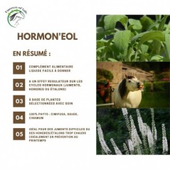 Hormon'eol Soutien de la santé de la jument ou de l'étalon 1L - Essence of Life CHEV-1291 Essence Of Life 79,90 € Ornibird