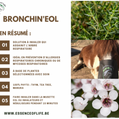 Bronchin'eol Solution à inhaler 500ml + 50x cotons bio - Essence of Life CHEV-1308 Essence Of Life 86,50 € Ornibird