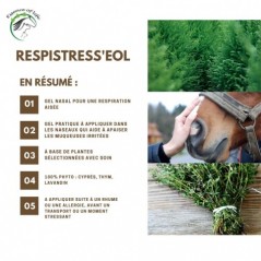 Respistress'eol Pommade nasale, type gel 100ml - Essence of Life CHEV-1317 Essence Of Life 21,90 € Ornibird