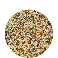 Traditional Premium - Mélange d'élevage de haute qualité, avec du petit maïs cribs 20kg - 20,25 € - Versele-Laga - 5410340113677 - Ornibird SRL