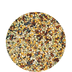 Traditional Premium - Mélange de mue de haute qualité, avec du petit maïs 20kg - 19,30 € - Versele-Laga - 5410340113684 - Ornibird SRL