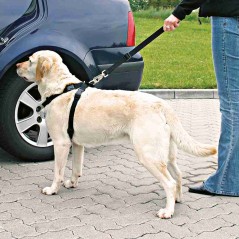 Harnais pour voiture L 70-90cm/25mm - Trixie - 15,00 € - Trixie - 4011905012926 - Ornibird SRL