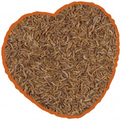 Gammares gros 2,5L - Duvo+ à 29,95 € - Duvo + - 12991 - Nourriture