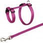 Harnais avec laisse pour lapins Divers coloris 25-44cm/10mm Laisse 1,25m - Trixie Harnais avec laisse pour lapins Divers coloris 25-44cm/10mm Laisse 1,25m - Trixie