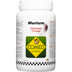 Winchol, protège le foie à base de choline 500ml - Winners - 12,90 € - Winners - 5414974810230 - Ornibird SRL