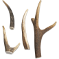 All Nature Bois de Cerf M/76-150gr - Jack and Vanilla