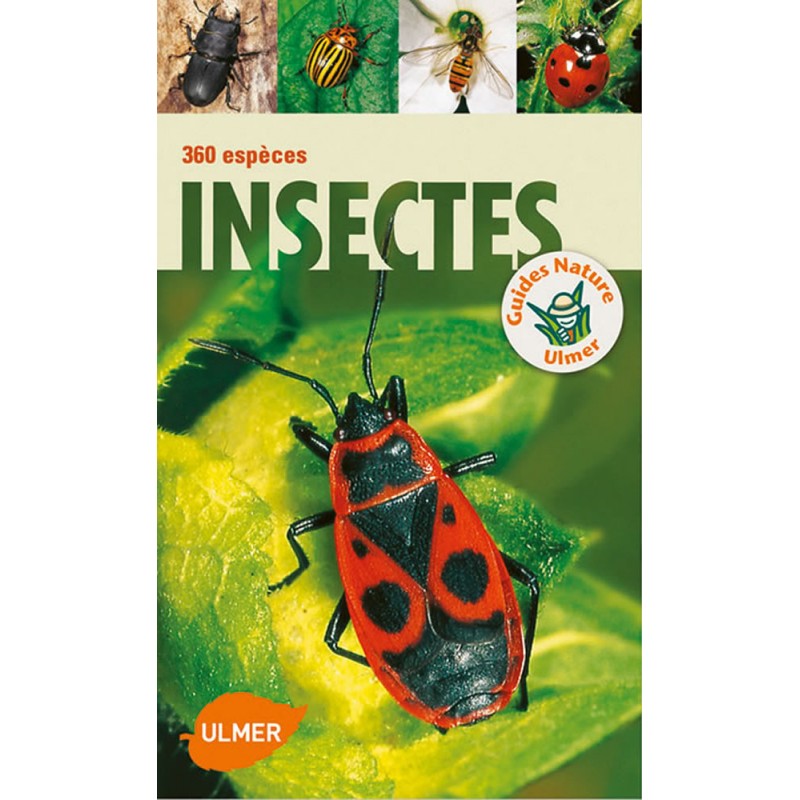 Insectes 360 espèces - Heiko BELLMANN Insectes 360 espèces - Heiko BELLMANN