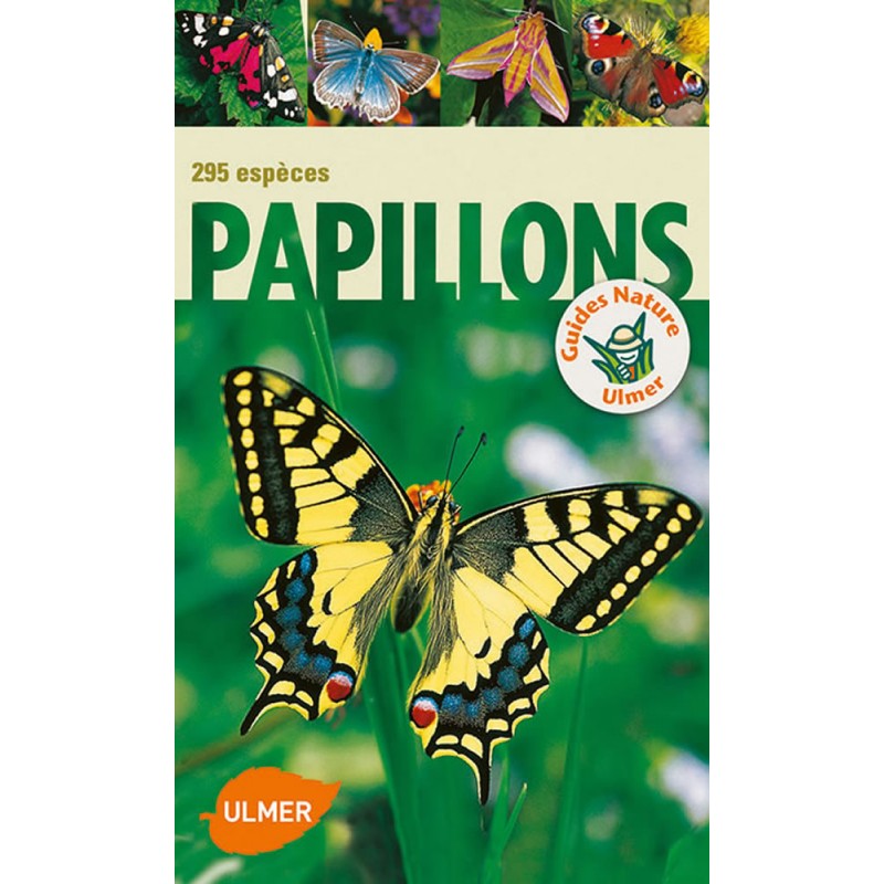 Papillons, 295 espèces - Heiko BELLMANN Papillons, 295 espèces - Heiko BELLMANN