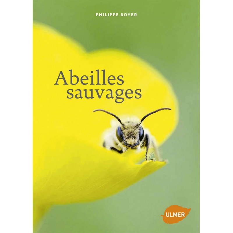 Abeilles sauvages - Philippe BOYER 87335 Ulmer 24,90 € Ornibird