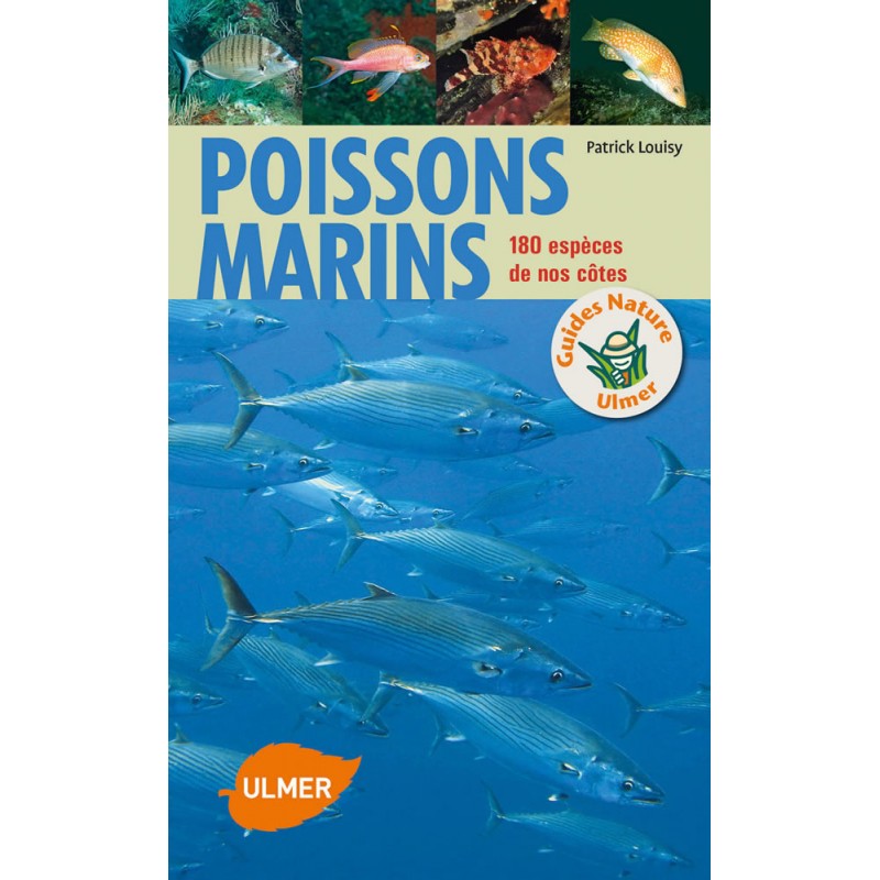 Poissons marins 180 espèces de nos côtes - Patrick LOUISY 88622 Ulmer 14,95 € Ornibird