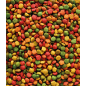 G18 Tropical Granulés extrudés - aliment d'élevage pour grandes perruches 10kg - Nutribird G18 Tropical Granulés extrudés - aliment d'élevage pour grandes perruches 10kg - Nutribird