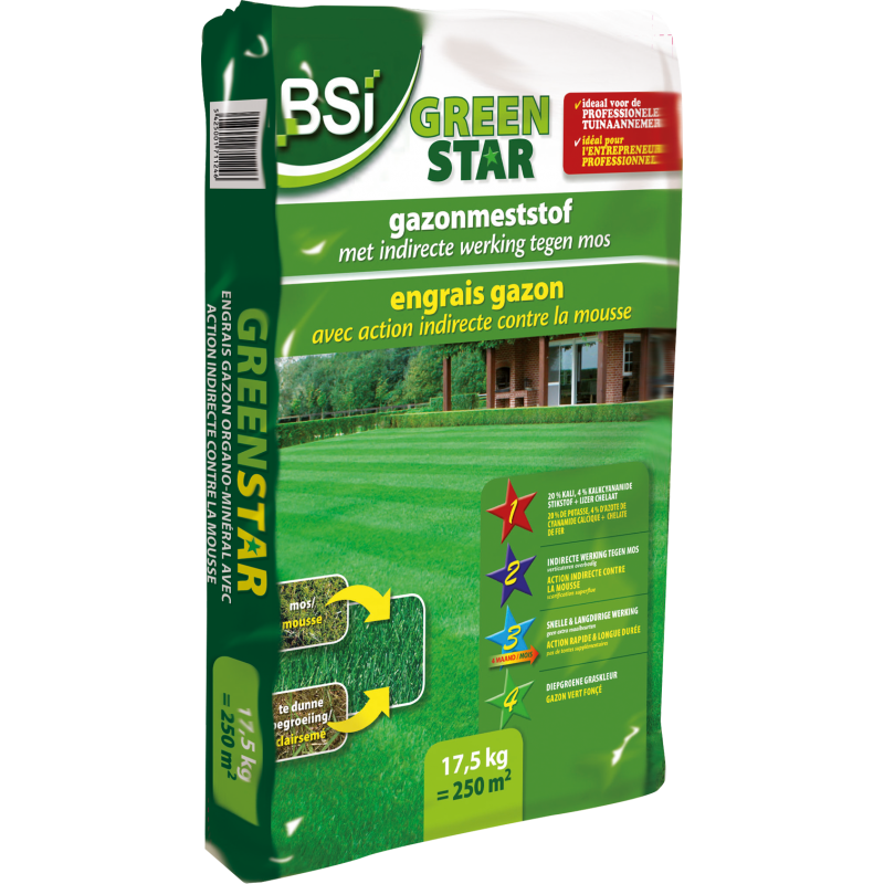 Top gazon green star 17,5kg - BSI