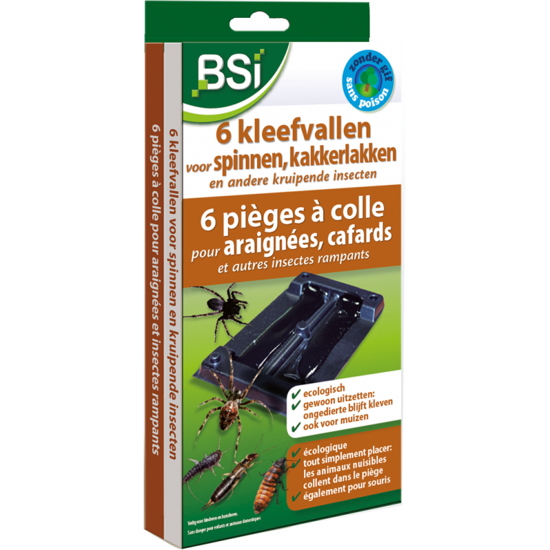 Pièges à colle pour araignées 6x - BSI Pièges à colle pour araignées 6x - BSI
