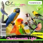 Chardonnerets Light au kg - Ornibird Chardonnerets Light au kg - Ornibird