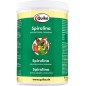 Spirulina, protéines naturelles et acides aminés 500gr - Quiko