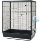 Cage oiseaux Primo 60 noir 80x50x115cm - Vadigran Cage oiseaux Primo 60 noir 80x50x115cm - Vadigran