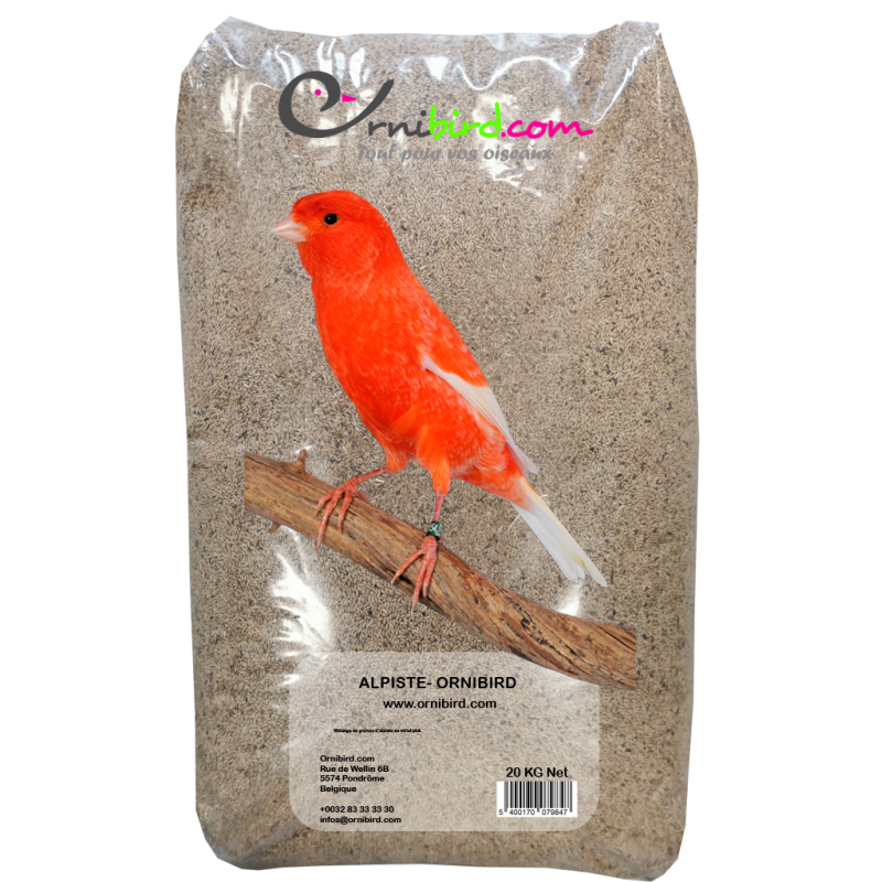 Alpiste ou Millet Plat 20kg - Ornibird Alpiste ou Millet Plat 20kg - Ornibird