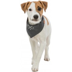 BE NORDIC Bandana Rose des vents S/30cm gris foncé - Trixie à 6,00 € - Trixie - 17331 - Casquettes & bandanas