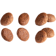 Adult Derma+ 2kg - Euro Premium à 19,50 € - Euro Premium - Dog Food - 62151 - Euro Premium - Dog Food