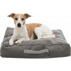Be Eco Coussin Danilo Gris 55x55cm - Trixie - 45,00 € - Trixie - 4057589381200 - Ornibird SRL