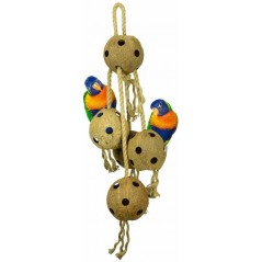 Coconut Chain XL 70cm - Back Zoo Nature ZF1365 Back Zoo Nature 25,95 € Ornibird