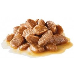 Mini Adult 12x85gr - Royal Canin - 12,90 € - Royal Canin - 9003579008249 - Ornibird SRL