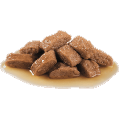 Medium Adult 10x140gr - Royal Canin - 17,70 € - Royal Canin - 9003579008362 - Ornibird SRL