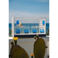 Ensemble de 4 cages 60x33x33cm avec chariot ART.90 - Modèle Einstein - Italgabbie - 221,95 € - Italgabbie - 1650961982137 - Ornibird SRL