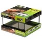 Terrarium GigaMini S 30x30x20cm - Giganterra Terrarium GigaMini S 30x30x20cm - Giganterra