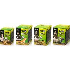 GIGASUN Ampoule mercure 80w - Giganterra - 42,95 € - Giganterra - 3664471000760 - Ornibird SRL