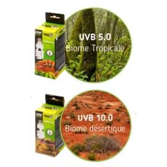 Ampoule UVB 13w/10.0 - Giganterra - 24,95 € - Giganterra - 3664471000821 - Ornibird SRL
