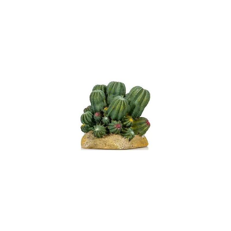 Cactus 2 résine 12x10,5x11cm - Giganterra G04-00295 Giganterra 12,90 € Ornibird