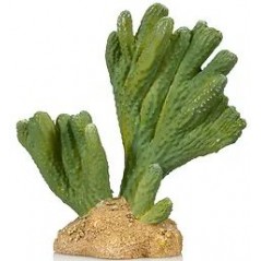 Cactus 3 résine 13x6,5x13cm - Giganterra G04-00296 Giganterra 9,90 € Ornibird
