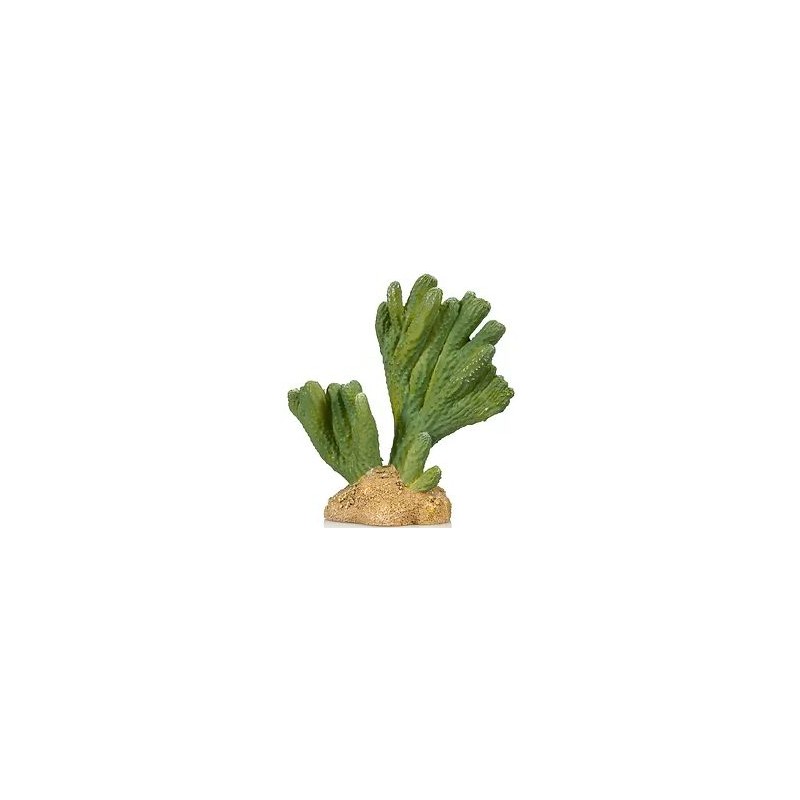 Cactus 3 résine 13x6,5x13cm - Giganterra