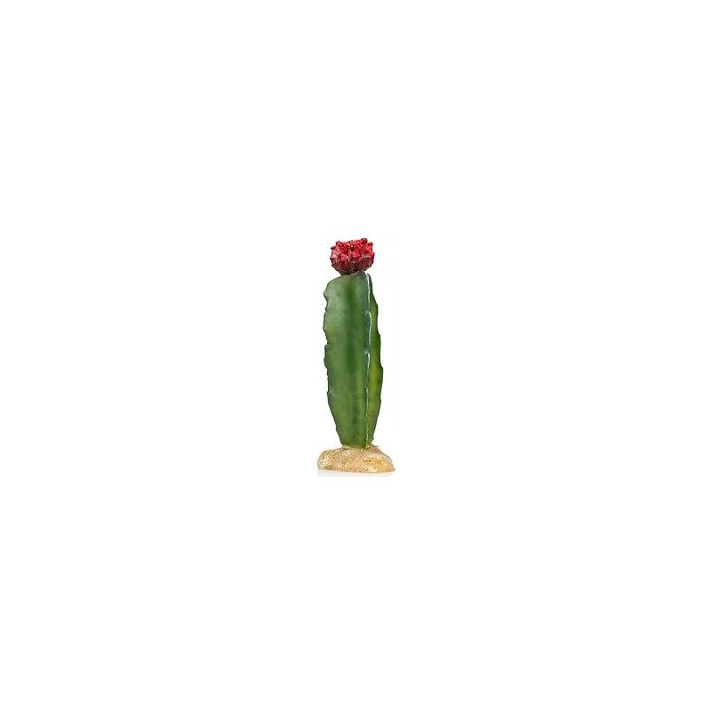 Cactus 5 résine 8x8x21cm - Giganterra