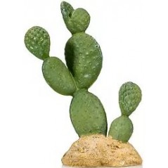 Cactus 7 résine 10,5x7x16cm - Giganterra G04-00323 Giganterra 10,79 € Ornibird