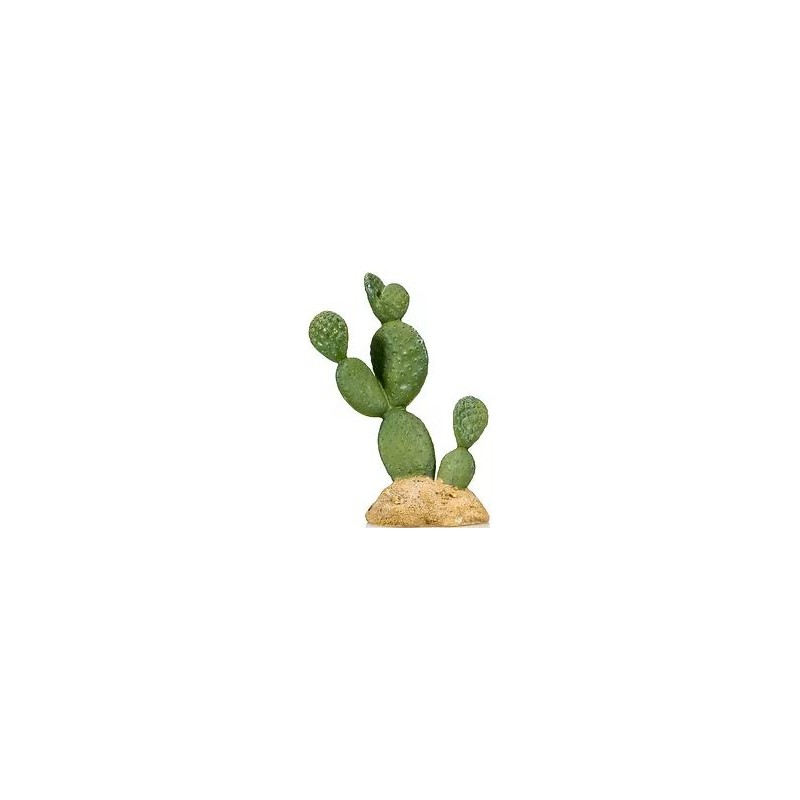 Cactus 7 résine 10,5x7x16cm - Giganterra G04-00323 Giganterra 10,79 € Ornibird
