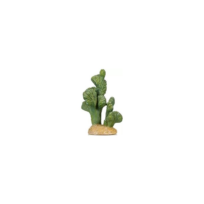 Cactus 8 résine 13x11x18cm - Giganterra G04-00324 Giganterra 14,07 € Ornibird