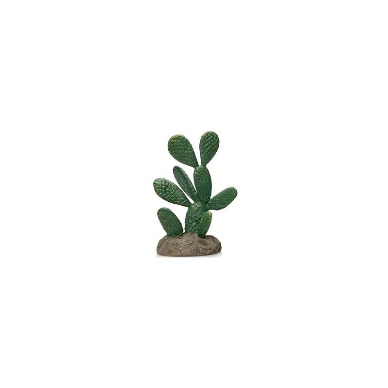 Cactus 12 résine 13x9x19,5cm - Giganterra G04-00341 Giganterra 18,30 € Ornibird