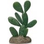 Cactus 12 résine 13x9x19,5cm - Giganterra