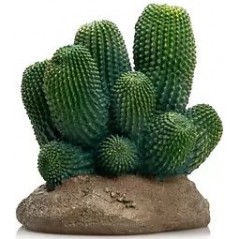 Cactus 13 résine 12x12x13cm - Giganterra G04-00342 Giganterra 17,20 € Ornibird