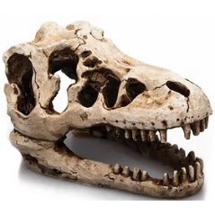 T-Rex résine 17cm - Giganterra G04-00266 Giganterra 18,40 € Ornibird