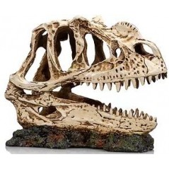 T-Rex résine 17cm - Giganterra - 17,95 € - Giganterra - 3664471002665 - Ornibird SRL