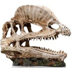 Socle Dinosaure 2 résine 19x9x14cm - Giganterra G04-00335 Giganterra 24,96 € Ornibird