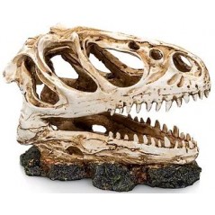 Socle Dinosaure 3 résine 13x6x11cm - Giganterra G04-00336 Giganterra 13,95 € Ornibird