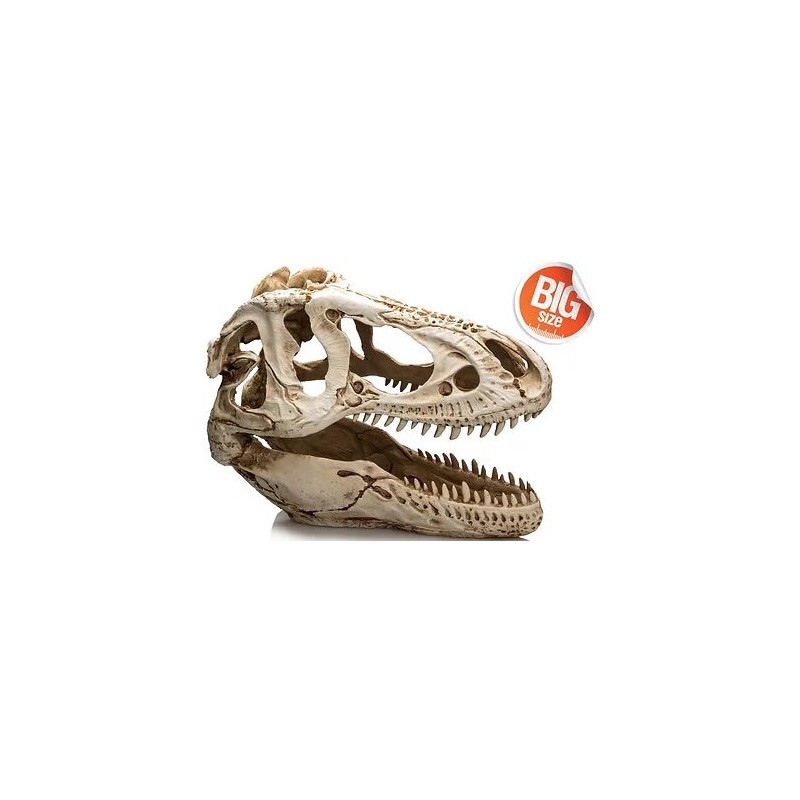 T-Rex XXL résine 39x19x29cm - Giganterra