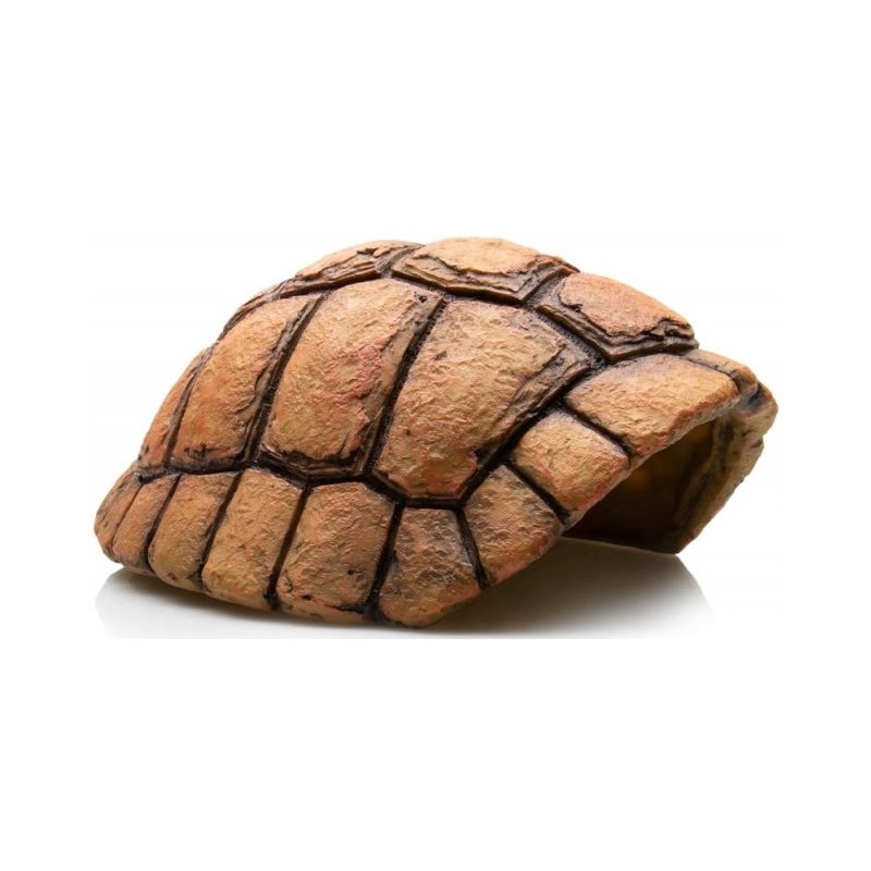 Carapace de Tortue grotte 20x17x9,5cm Giganterra à 16,34 € Giga...