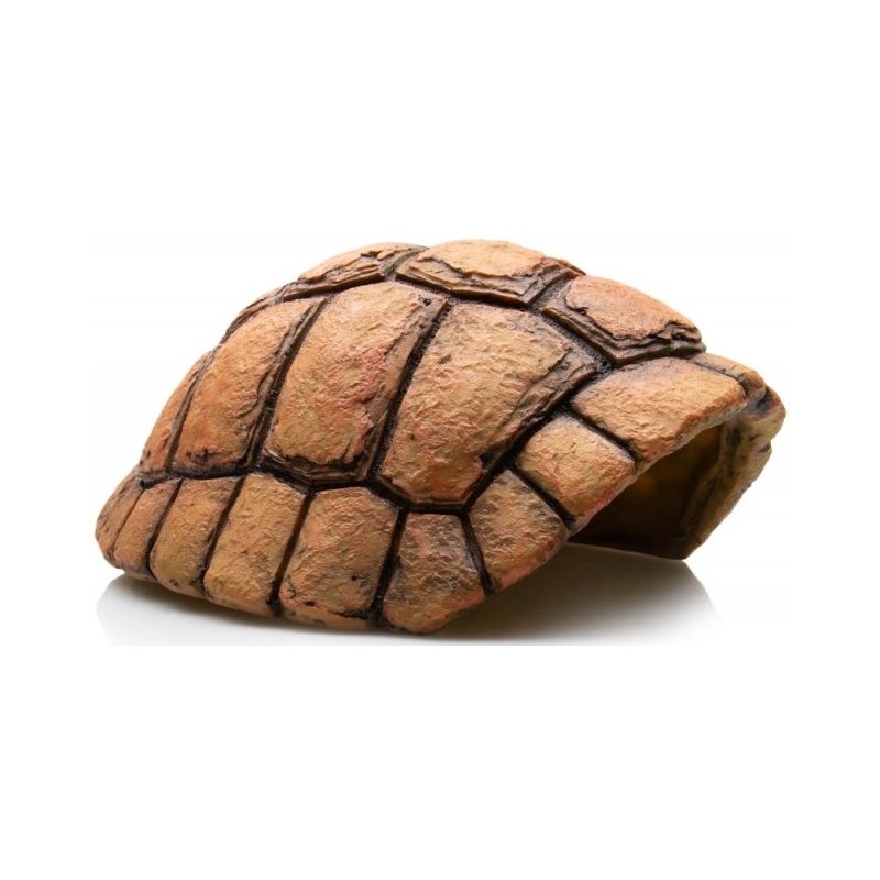 Carapace de Tortue grotte 20x17x9,5cm - Giganterra à 16,34 €